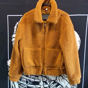 Bagatelle NYC teddy bear bomber